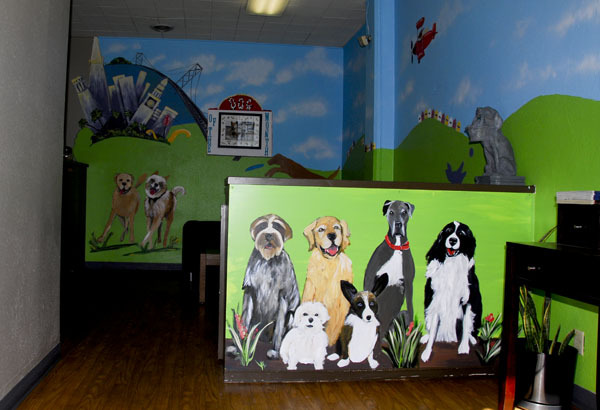 Fog City Doggy Day Care